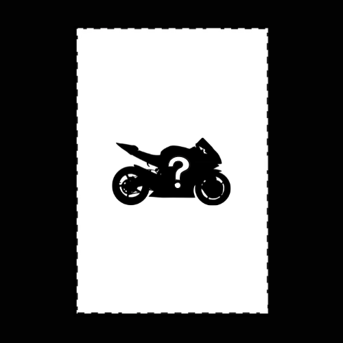 Custom Motorcycle Rug